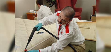 Orkin bed bug treatment cost. Things To Know About Orkin bed bug treatment cost. 